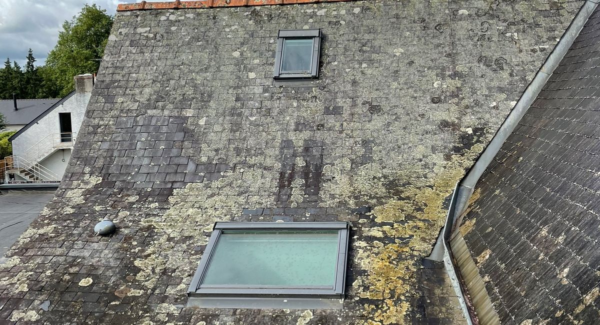 Toiture ancienne dégradée et couverte de mousses avant réfection