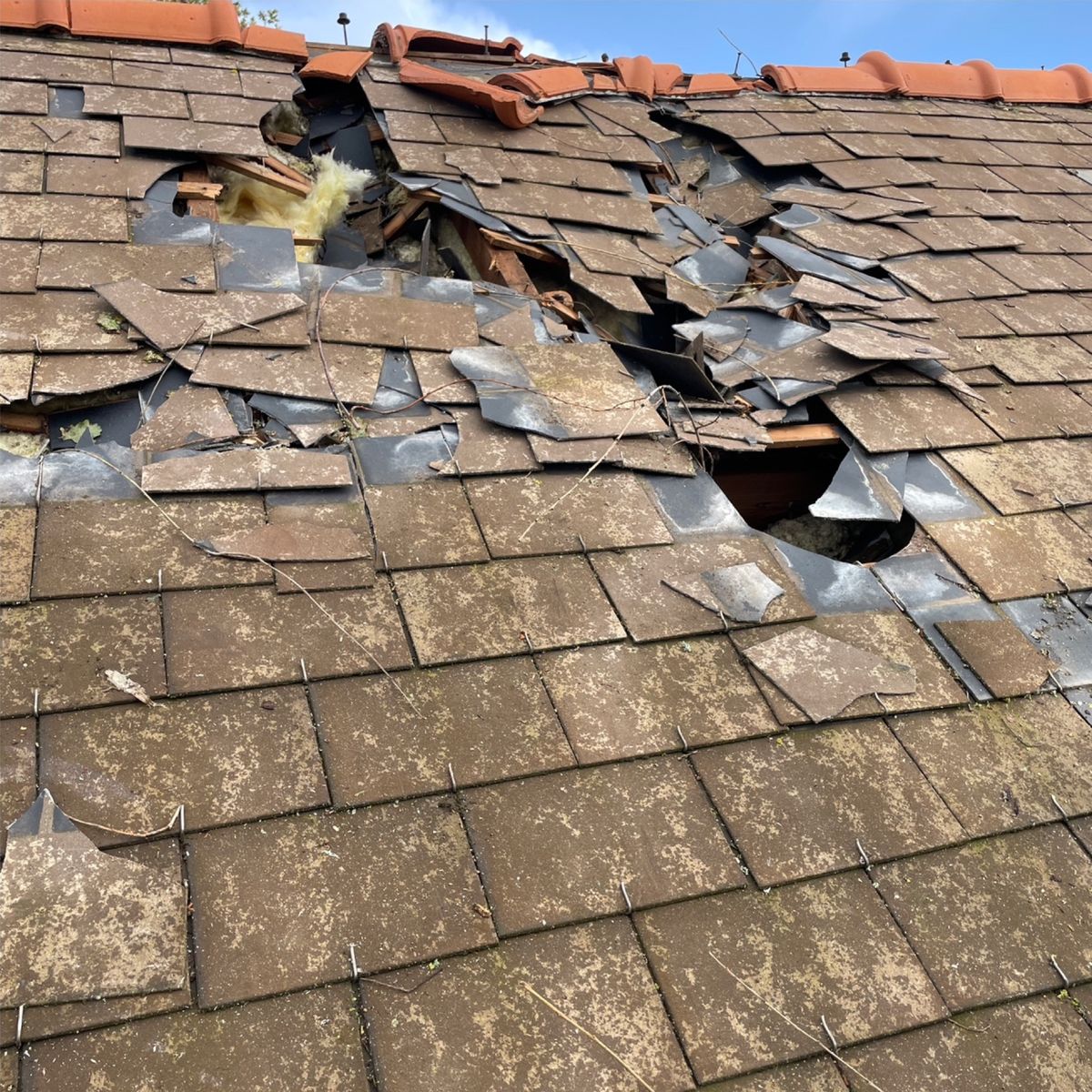 Toiture en ardoise synthétique défoncée par la chute d'un arbre, avant intervention d'urgence